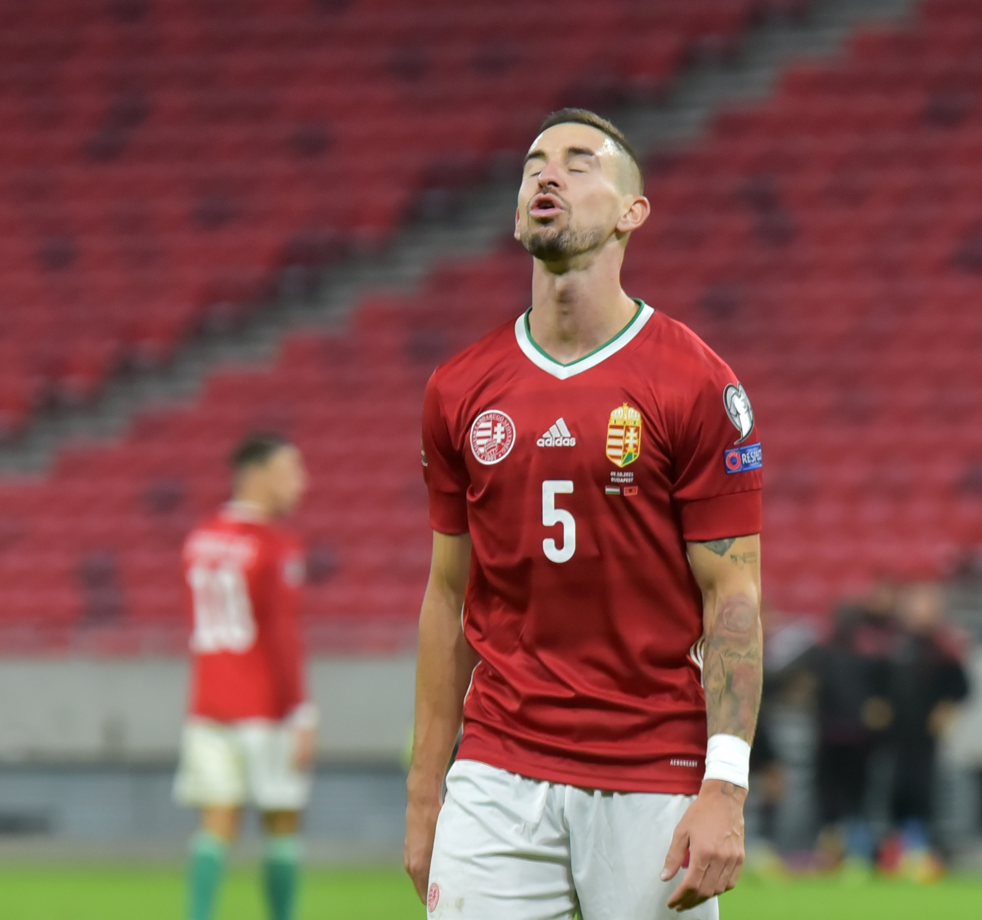 Hungary-Albania 0-1